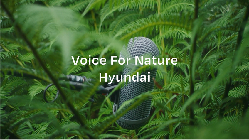 Voice For Nature